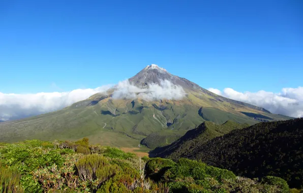 Лес, небо, облака, гора, Новая Зеландия, new zealand