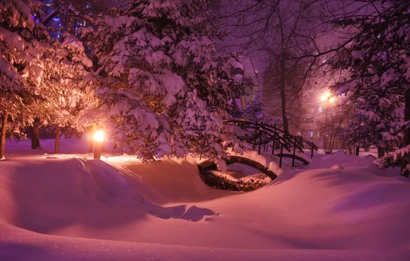 Картинка зима, снег, деревья, природа, парк, вечер, освещение, фонари