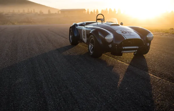 Shelby, Cobra, front view, Shelby Cobra 289