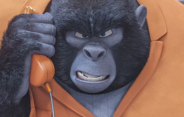 Cinema, movie, animal, gorilla, film, animated film, uniform, seifuku