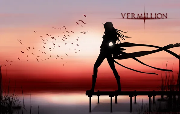 Трава, вода, девушка, закат, птицы, силуэт, Vermillion