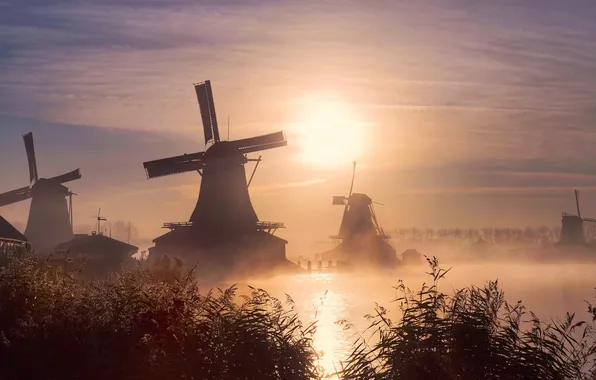 Fog, sunrise, windmill