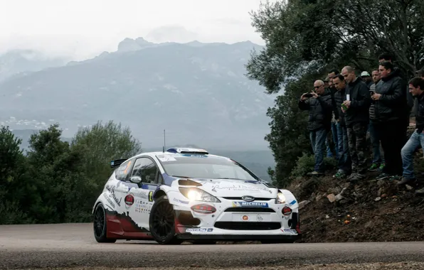 Ford, Rally, Ралли, Fiesta, ERC