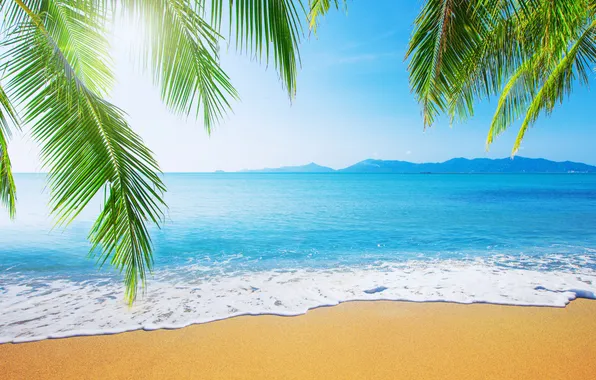Песок, море, пляж, лето, небо, пальмы, берег, summer