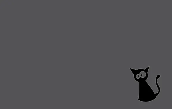 Кот, серый фон, черный кот
