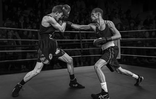 Картинка Black White, Eddie Leach, Right cross