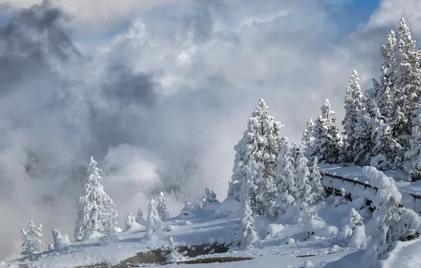 Картинка Winter, Yellowstone National Park, Porcelain Basin