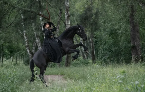 Деревья, животное, конь, поляна, шляпка, черное платье, Наездница, Всадница