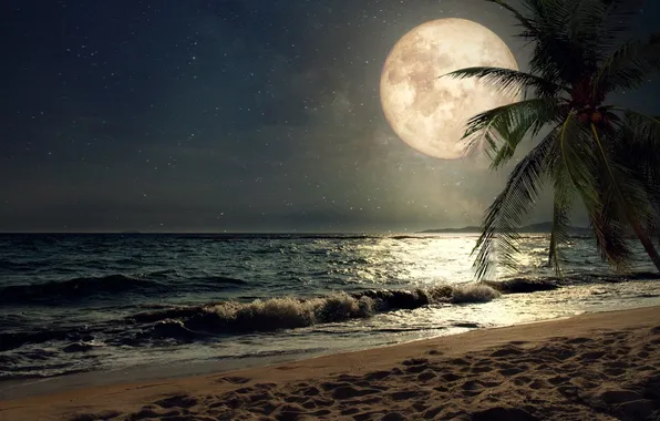 Beach, ocean, Scenic, Full moon