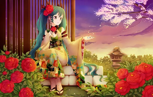 Девушка, цветы, розы, вечер, сакура, арт, vocaloid, hatsune miku