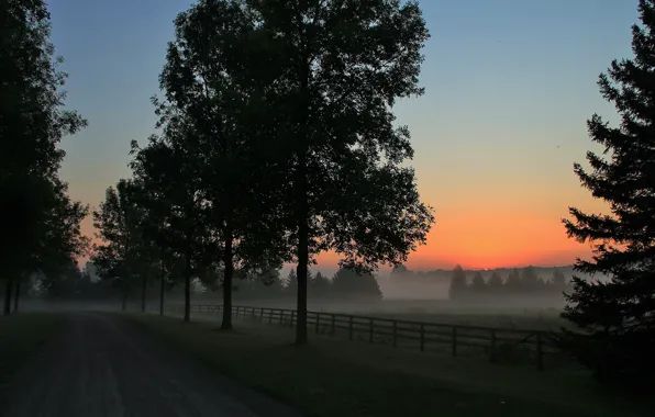 Дорога, пейзаж, ночь