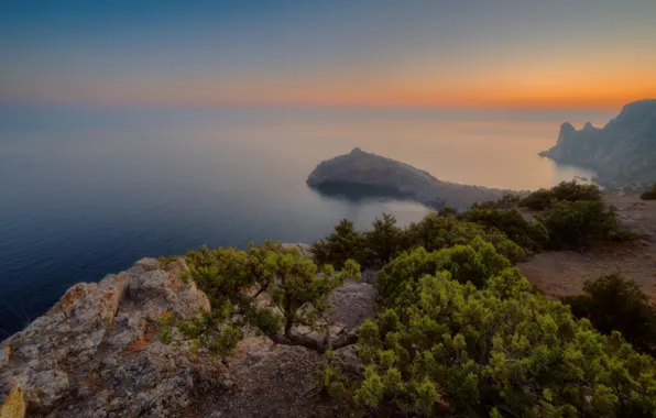Картинка море, пейзаж, природа, дерево, скалы, берег, вечер, Крым