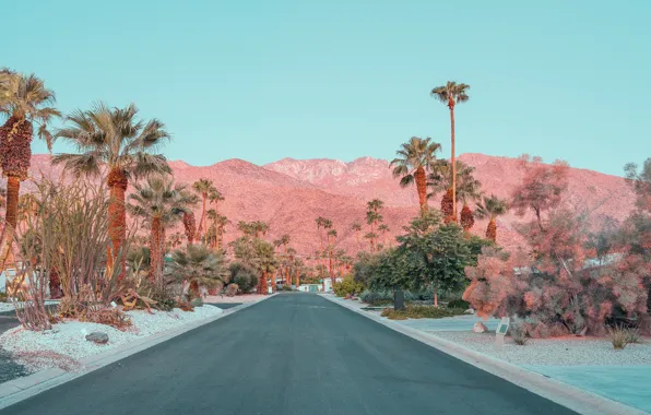 Дорога, горы, пальмы, улица, ONCE UPON A TIME IN CALIFORNIA
