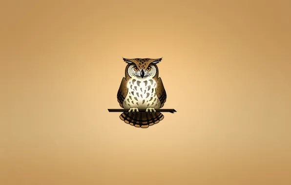 Картинка сова, птица, ветка, светлый фон, owl