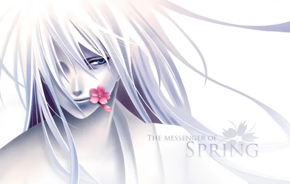 Картинка цветок, аниме, парень, the messenger of spring
