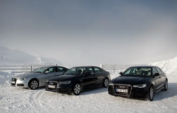 Audi, auto, sedan