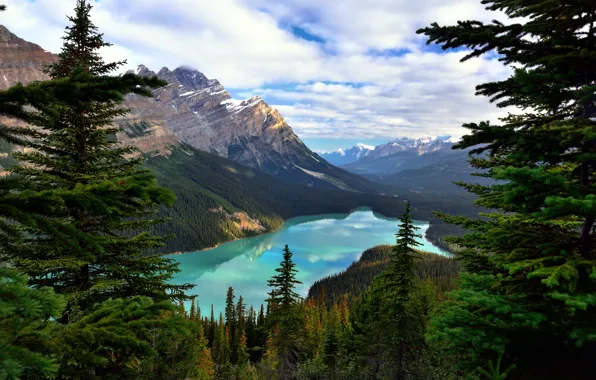 Лес, облака, деревья, горы, озеро, скалы, Канада, Альберта