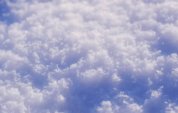 White, winter, snow, cold