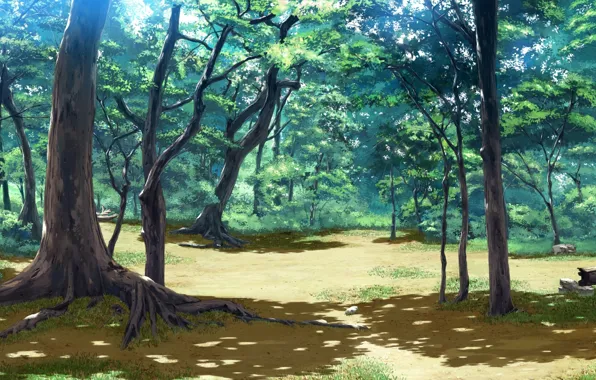 Картинка лес, листья, деревья, пейзаж, природа, ветви, аниме, арт