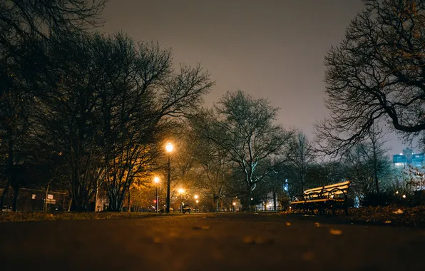 Картинка деревья, ночь, парк, путь, скамейки, фонарный столб