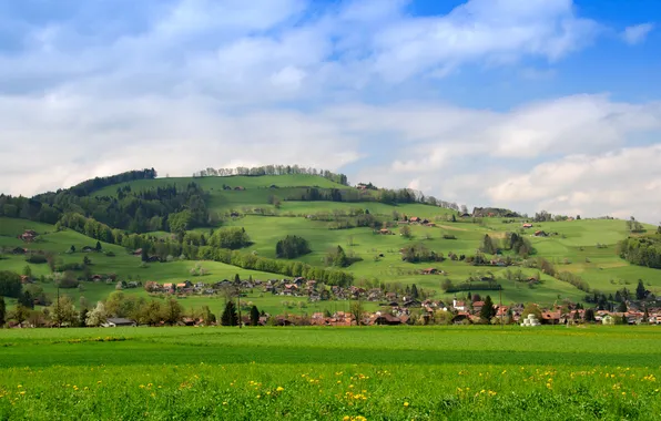 Картинка поле, пейзаж, природа, город, фото, дома, Швейцария, Wattenwil