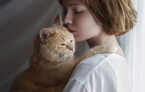 Картинка кошка, любовь, лицо, женщина