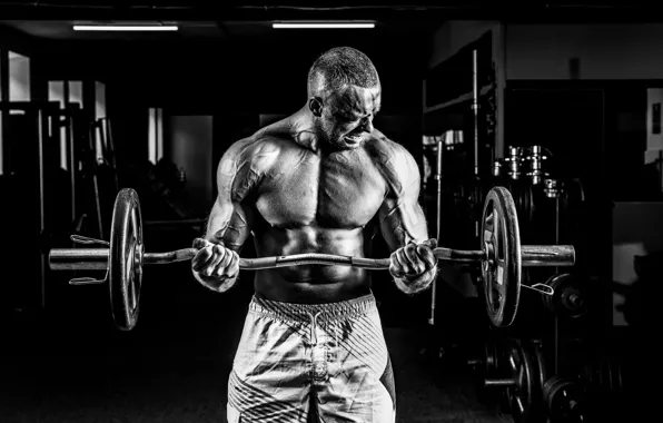 Поза, muscle, мышцы, штанга, атлет, бицепс, gym, бодибилдер