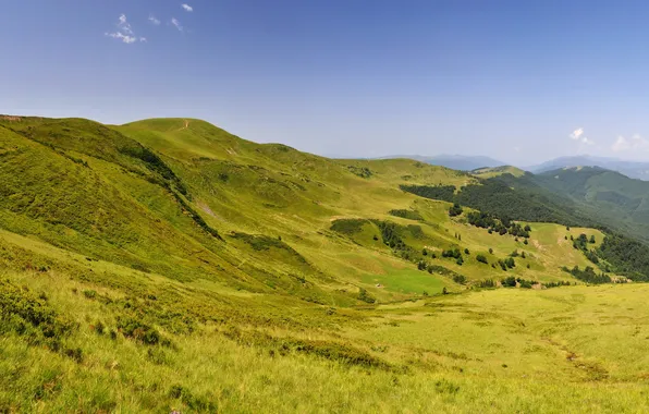 Картинка трава, пейзаж, горы, природа, Украина, Карпаты
