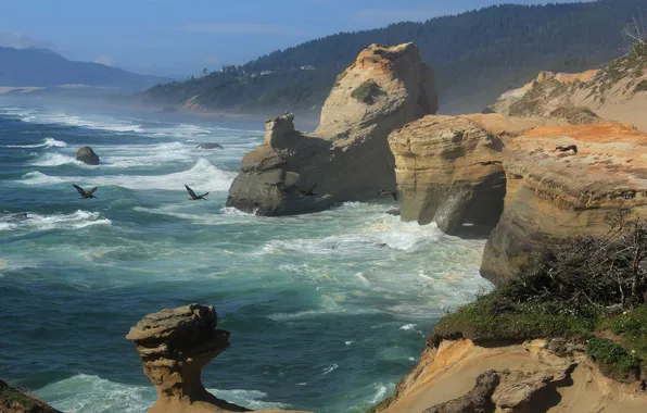 Море, волны, небо, горы, шторм, скалы, птица