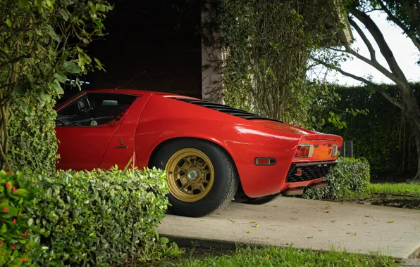 Крупный план, Lamborghini, 1971, Miura, ламборгини, Lamborghini Miura P400 SV