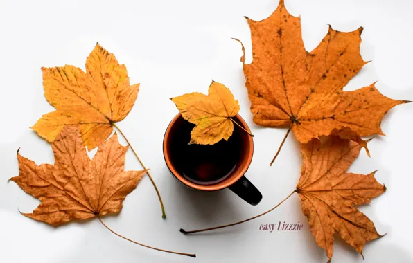 Осень, чай, leaf, autmn, лист дерева, cup of tea