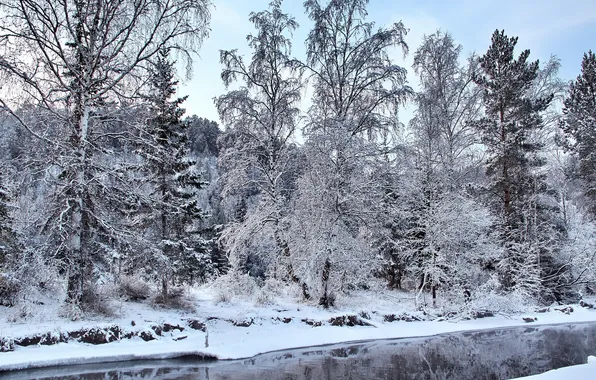 Картинка зима, лес, снег, деревья, речка