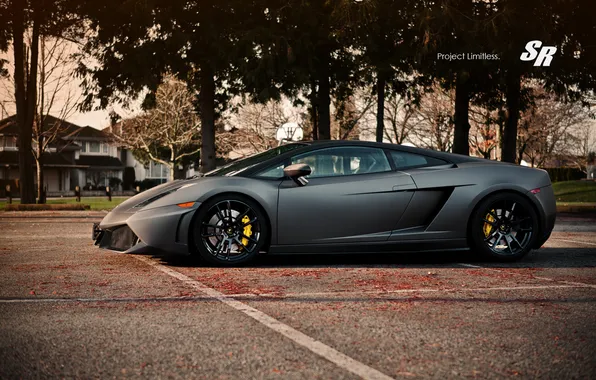 Картинка Lamborghini, профиль, Gallardo, 2012, SR Auto Group, Limitless