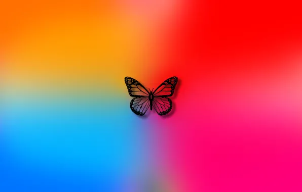 Цвета, фон, бабочка, colors, арт, wallpaper, butterfly