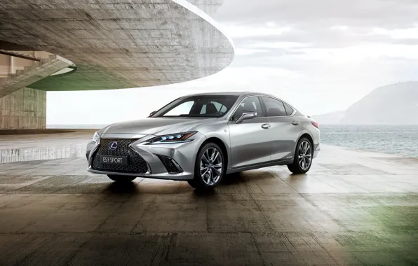 Седан, 2018, F Sport, 300h, Lexus ES