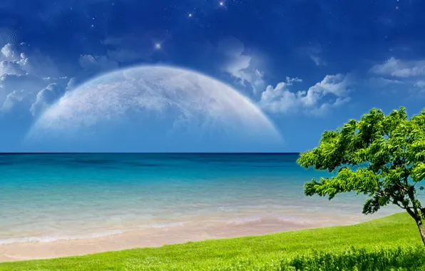 Картинка пляж, небо, трава, облака, дерево, планеты, Океан