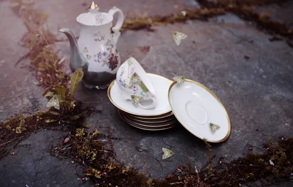 Cup, tea, saucer, kettle