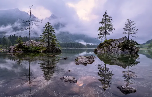 Вода, горы, туман, озеро, дерево, Лес
