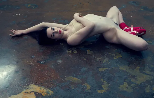 Девушка, фон, модель, ножки, красотка, талия, порноактриса, Stoya