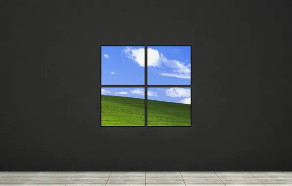 Windows, Тюрьма, Microsoft