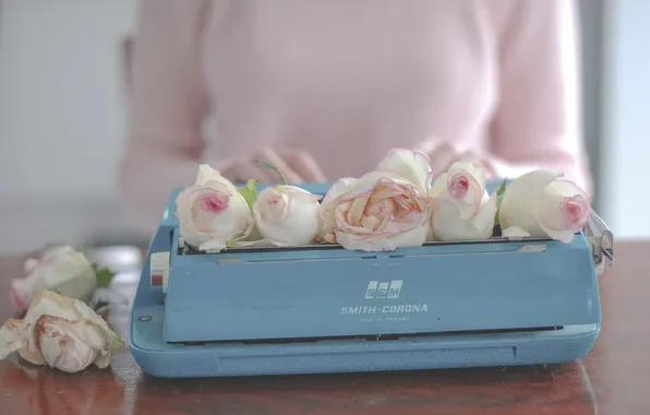 Картинка цветы, розы, печатная машинка, бутоны