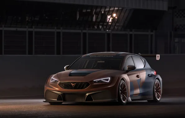 Leon, Competition, Seat, Cupra, 2020