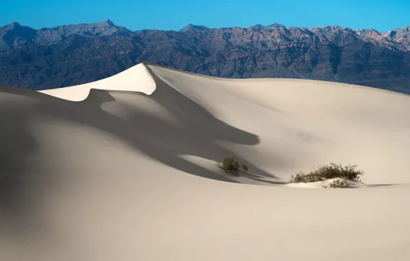 Песок, пустыня, дюны, USA, California, Death Valley National Park