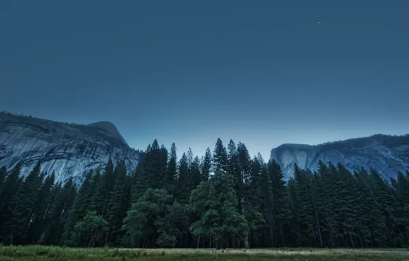 США, California, Yosemite Valley, Национальный парк, Штат Калифорния, Foresta, Долина Йосемити