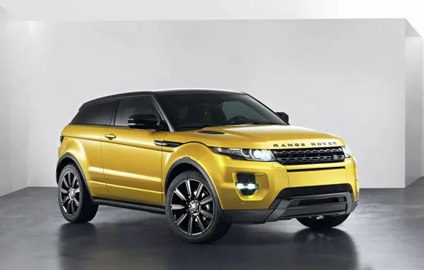 Golden, Evoque, Land, Rover, 2013, Range, Golden 2013 Land Rover Range Rover Evoque