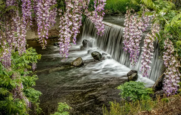 Картинка река, водопад, весна