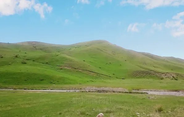 Nature, Sunny, Turkish