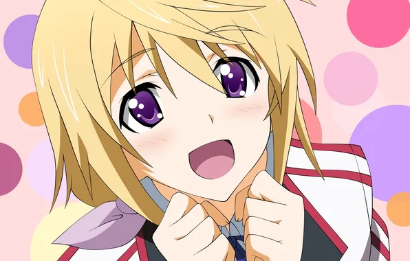 Female, Single, Charles Dunois, Infinite Stratos, Simple background