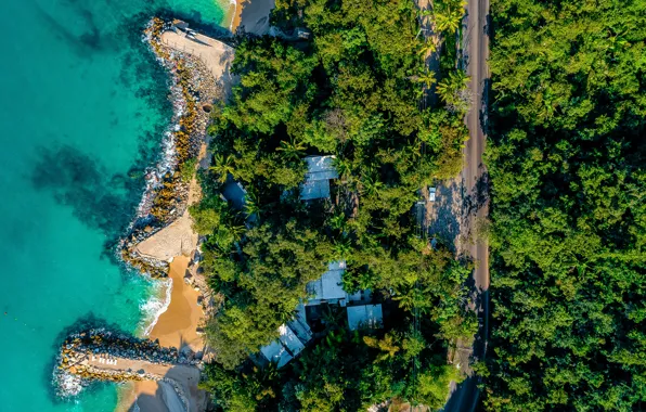 Summer, forest, beach, sea, ocean, island, vacation, resort