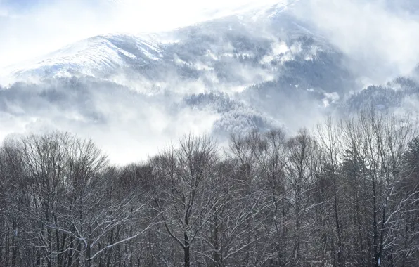 Winter, mountain, snow, kentucky